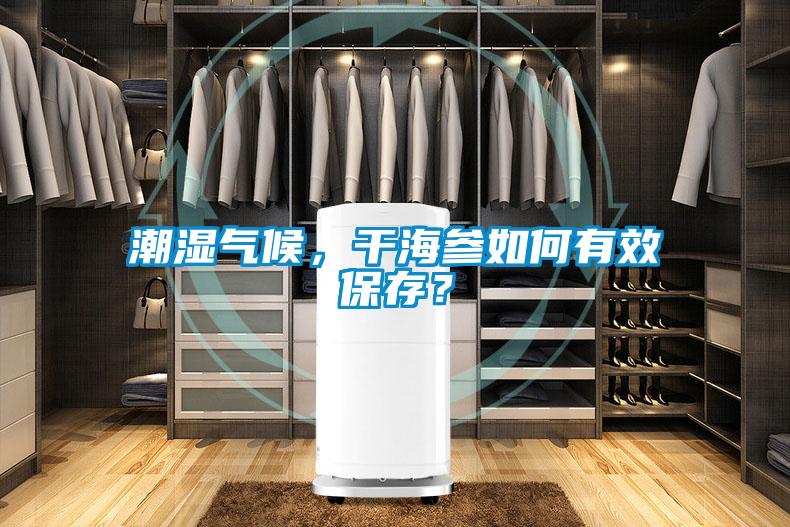 潮湿气候，干海参如何有效保存？