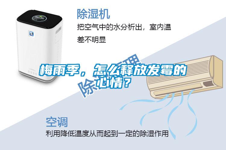 梅雨季，怎么释放发霉的心情？