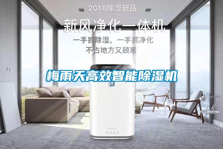 梅雨天高效智能草莓视频APP在线观看