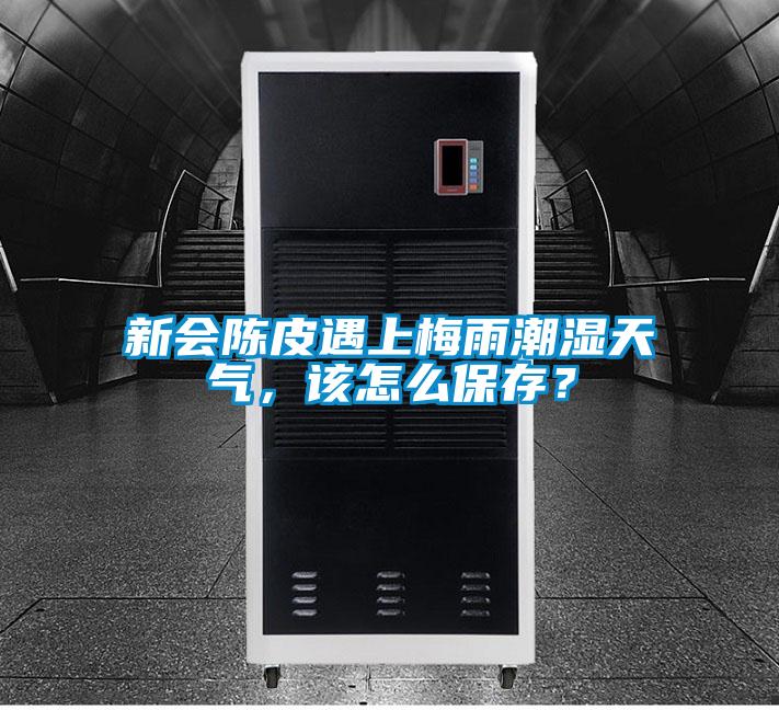 新会陈皮遇上梅雨潮湿天气，该怎么保存？