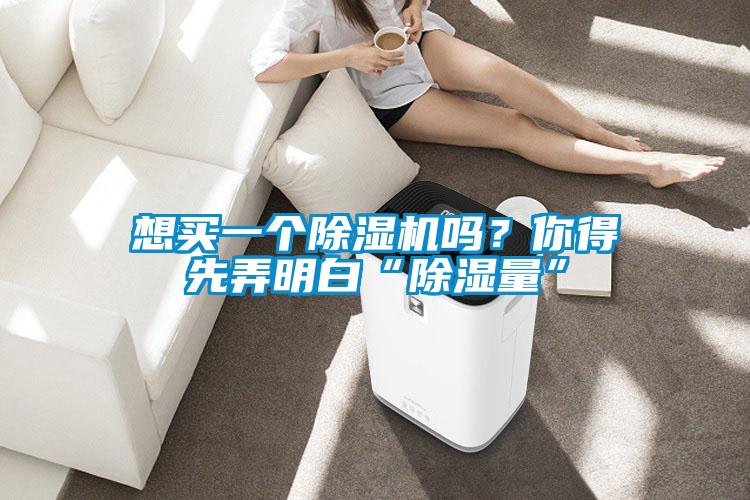 想买一个草莓视频APP在线观看吗？你得先弄明白“除湿量”