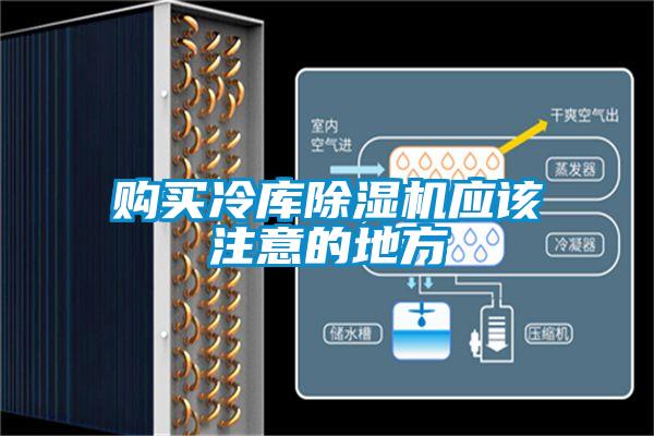 购买冷库草莓视频APP在线观看应该注意的地方