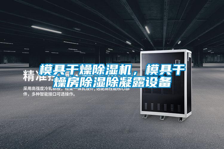 模具干燥草莓视频APP在线观看，模具干燥房除湿除凝露设备