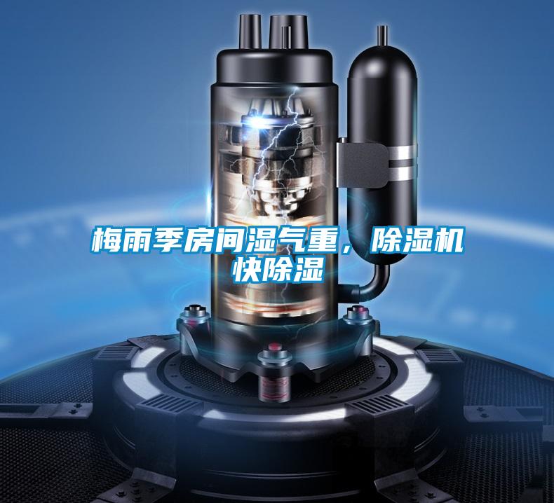梅雨季房间湿气重，草莓视频APP在线观看快除湿