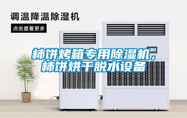 柿饼烤箱专用草莓视频APP在线观看，柿饼烘干脱水设备