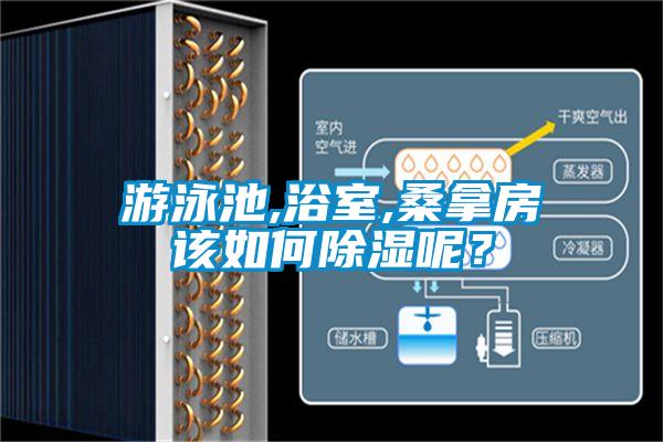 游泳池,浴室,桑拿房该如何除湿呢？