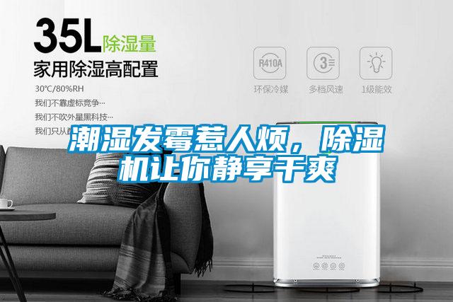 潮湿发霉惹人烦，草莓视频APP在线观看让你静享干爽