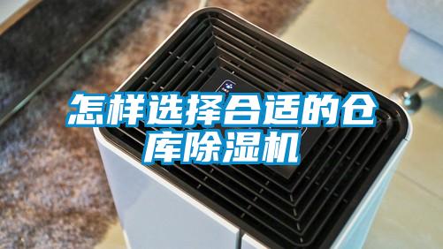 怎样选择合适的仓库草莓视频APP在线观看