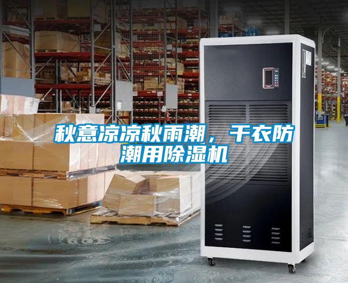 秋意凉凉秋雨潮，干衣防潮用草莓视频APP在线观看