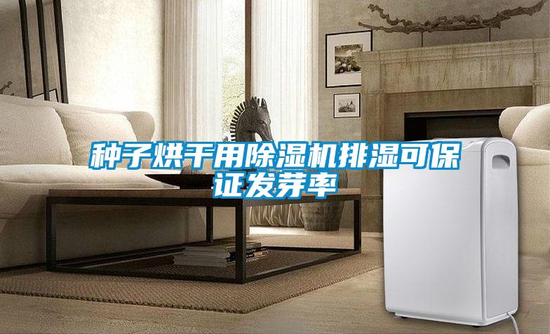 种子烘干用草莓视频APP在线观看排湿可保证发芽率