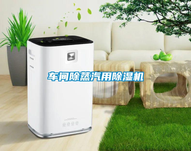 车间除蒸汽用草莓视频APP在线观看
