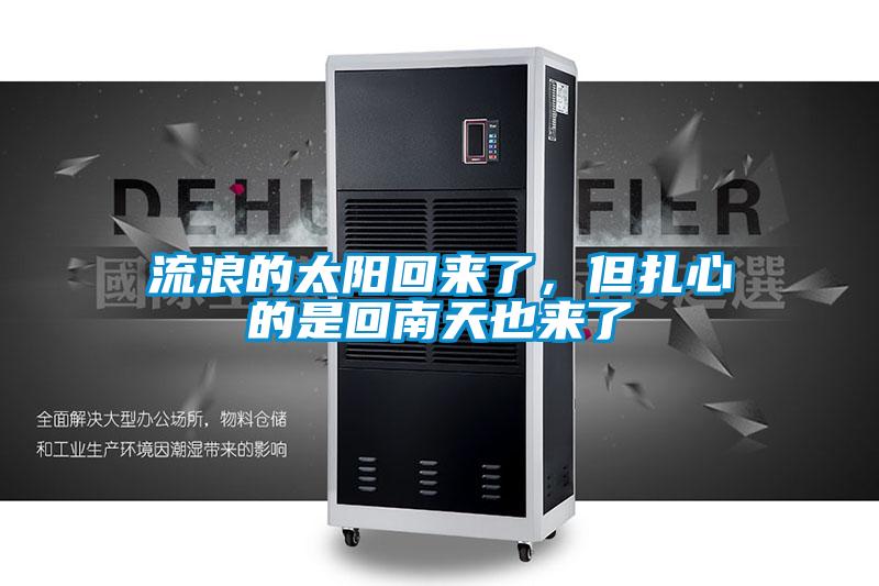 流浪的太阳回来了，但扎心的是回南天也来了