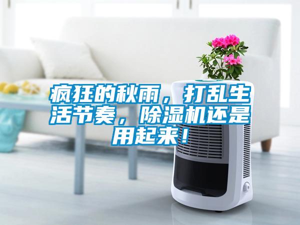 疯狂的秋雨，打乱生活节奏，草莓视频APP在线观看还是用起来！