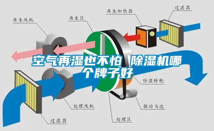 空气再湿也不怕 草莓视频APP在线观看哪个牌子好
