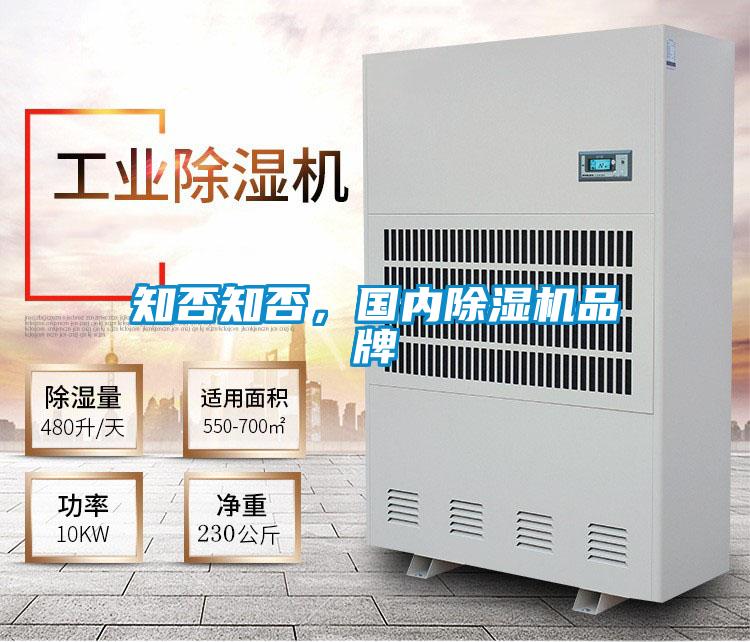 知否知否，国内草莓视频APP在线观看品牌