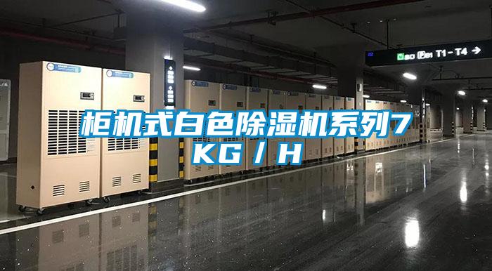 柜机式白色草莓视频APP在线观看系列7KG／H