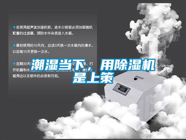潮湿当下，用草莓视频APP在线观看是上策