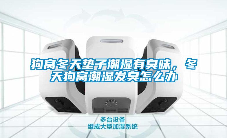 狗窝冬天垫子潮湿有臭味，冬天狗窝潮湿发臭怎么办