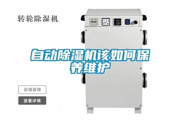 自动草莓视频APP在线观看该如何保养维护