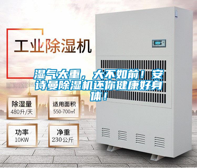湿气太重，大不如前！草莓视频污污版草莓视频APP在线观看还你健康好身体！