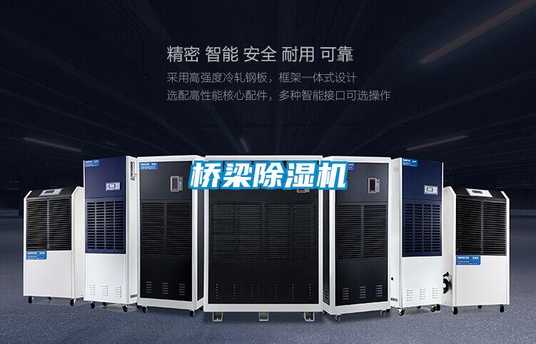 桥梁草莓视频APP在线观看