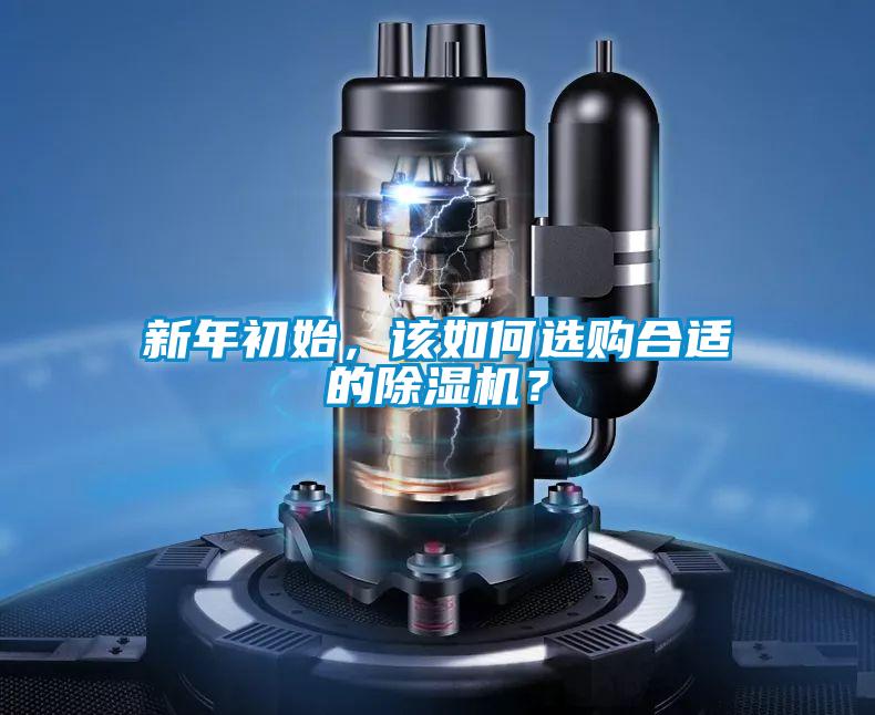 新年初始，该如何选购合适的草莓视频APP在线观看？