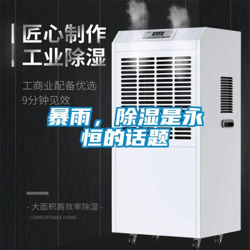 暴雨，除湿是永恒的话题