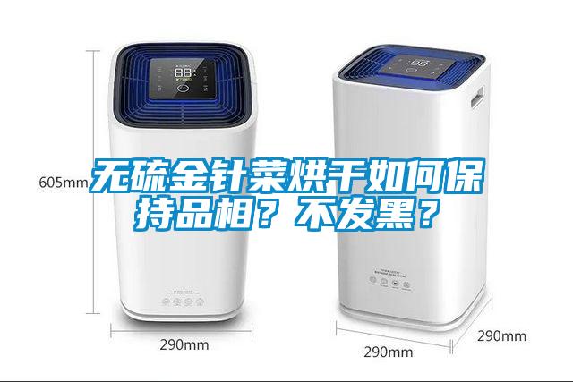 无硫金针菜烘干如何保持品相？不发黑？