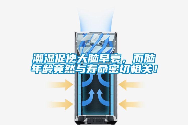 潮湿促使大脑早衰，而脑年龄竟然与寿命密切相关！