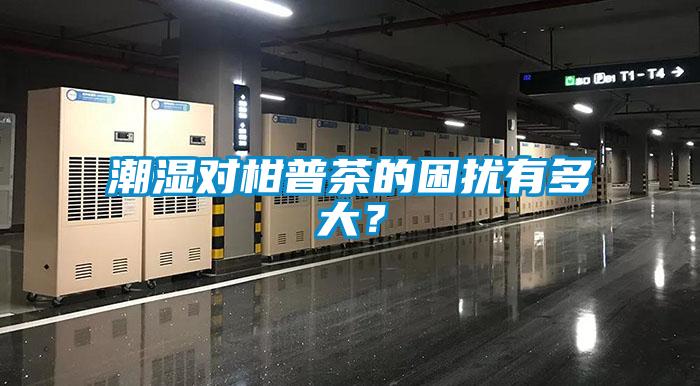 潮湿对柑普茶的困扰有多大？