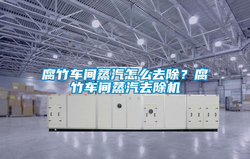 腐竹车间蒸汽怎么去除？腐竹车间蒸汽去除机