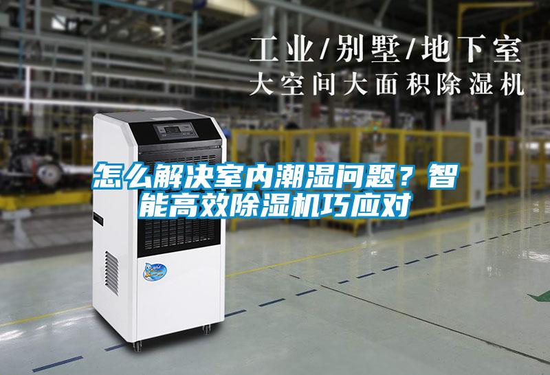 怎么解决室内潮湿问题？智能高效草莓视频APP在线观看巧应对