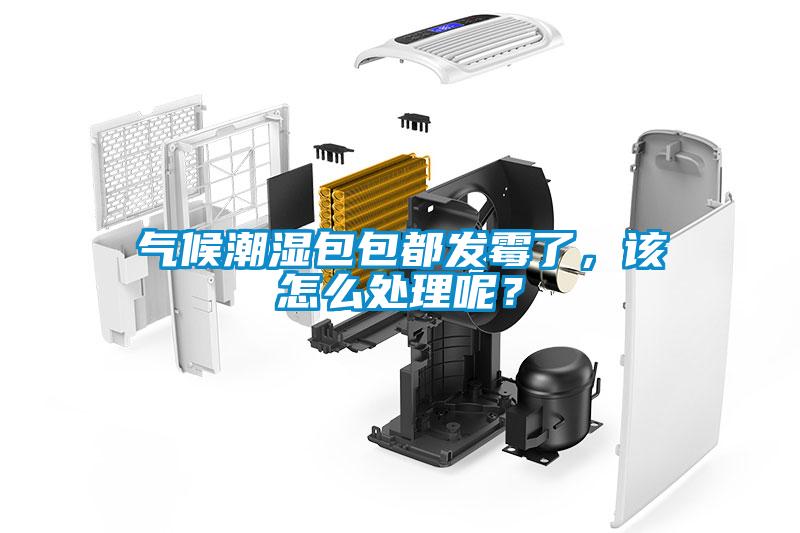 气候潮湿包包都发霉了，该怎么处理呢？