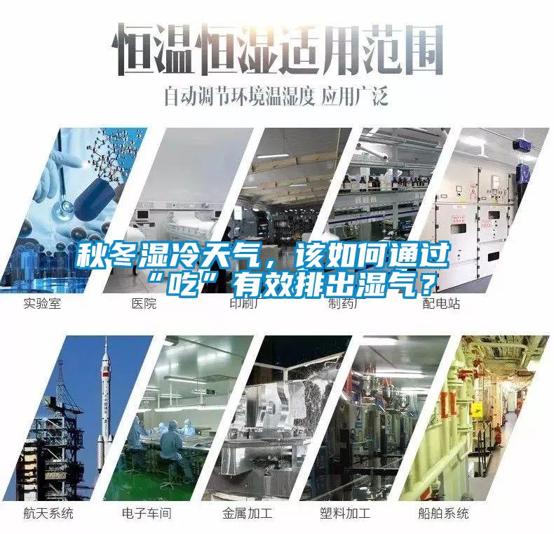 秋冬湿冷天气，该如何通过“吃”有效排出湿气？