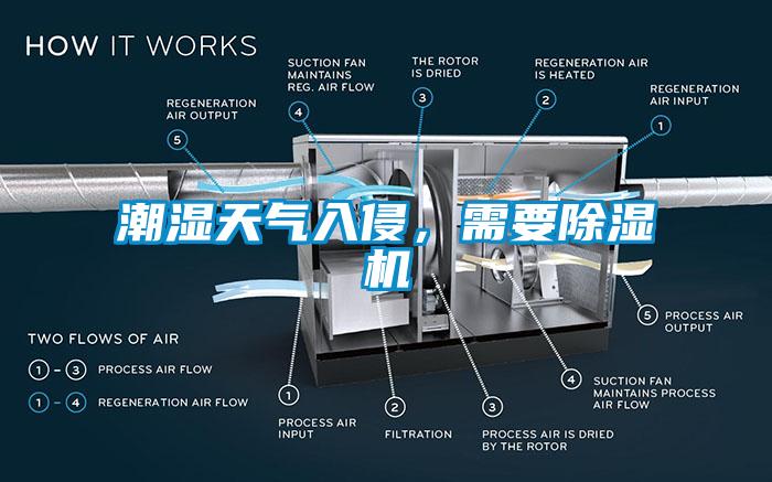 潮湿天气入侵，需要草莓视频APP在线观看