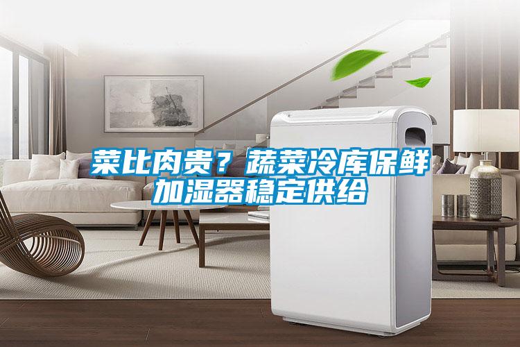 菜比肉贵？蔬菜冷库保鲜加湿器稳定供给