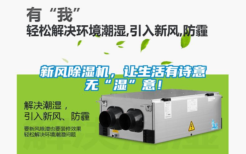 新风草莓视频APP在线观看，让生活有诗意无“湿”意！
