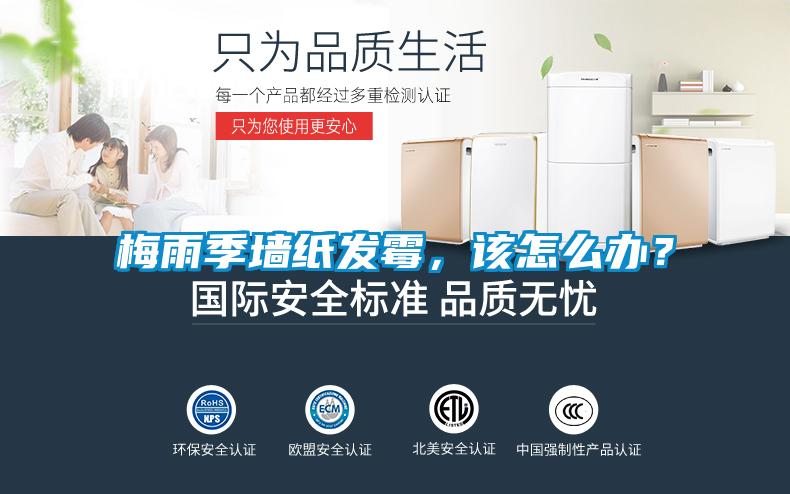 梅雨季墙纸发霉，该怎么办？