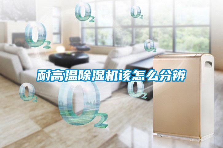 耐高温草莓视频APP在线观看该怎么分辨