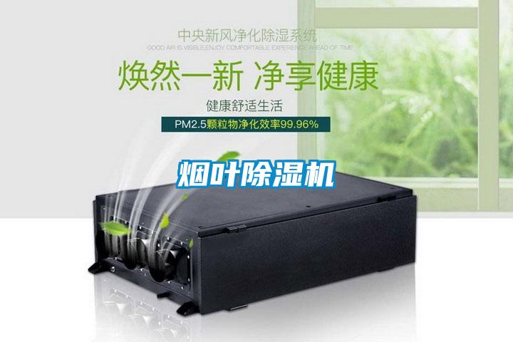 烟叶草莓视频APP在线观看