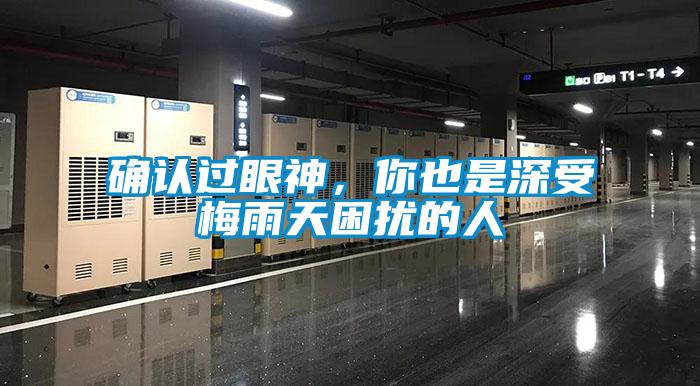 确认过眼神，你也是深受梅雨天困扰的人