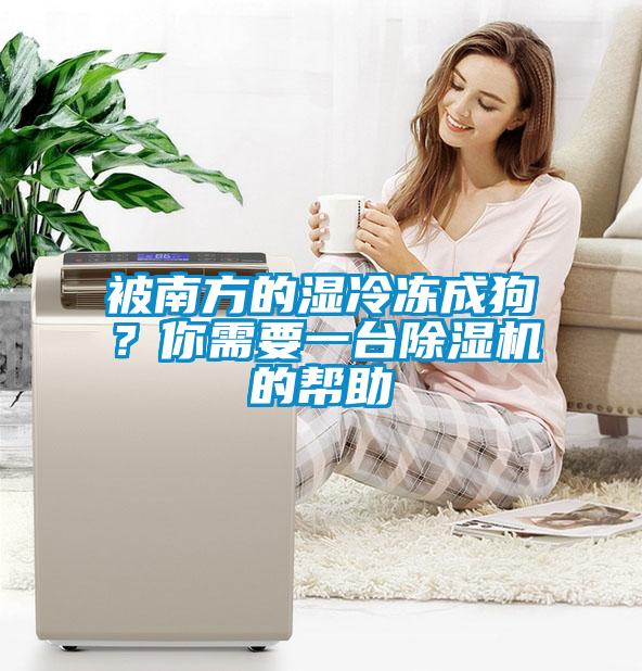 被南方的湿冷冻成狗？你需要一台草莓视频APP在线观看的帮助