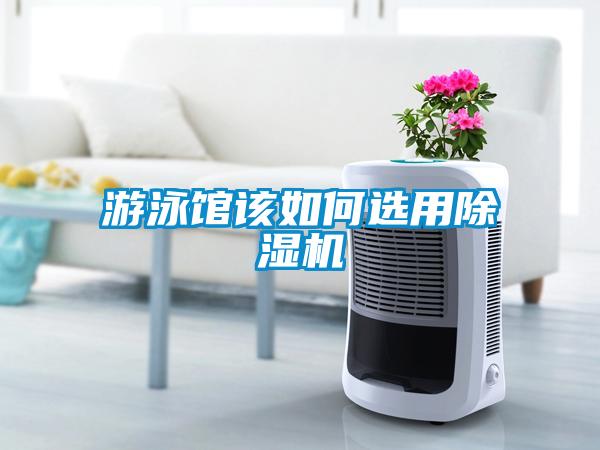 游泳馆该如何选用草莓视频APP在线观看