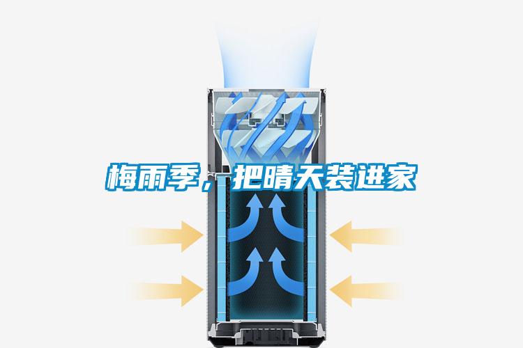 梅雨季，把晴天装进家