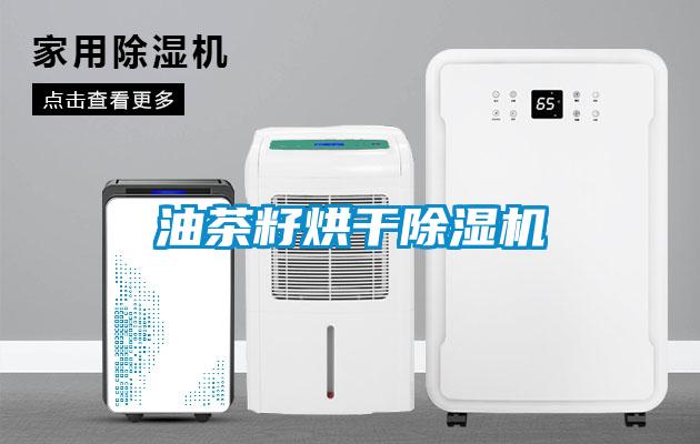 油茶籽烘干草莓视频APP在线观看
