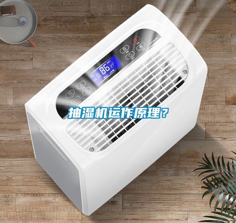 抽湿机运作原理？