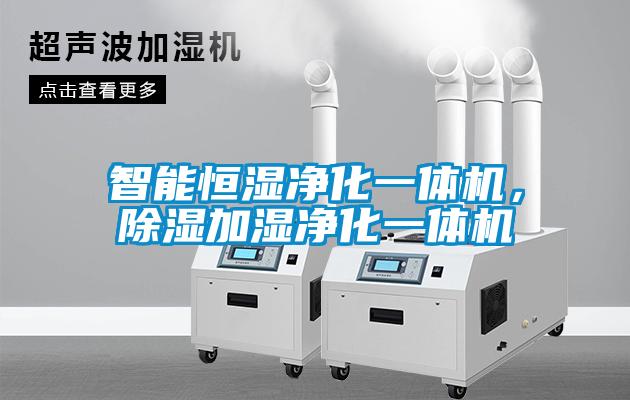 智能恒湿净化一体机，除湿加湿净化一体机