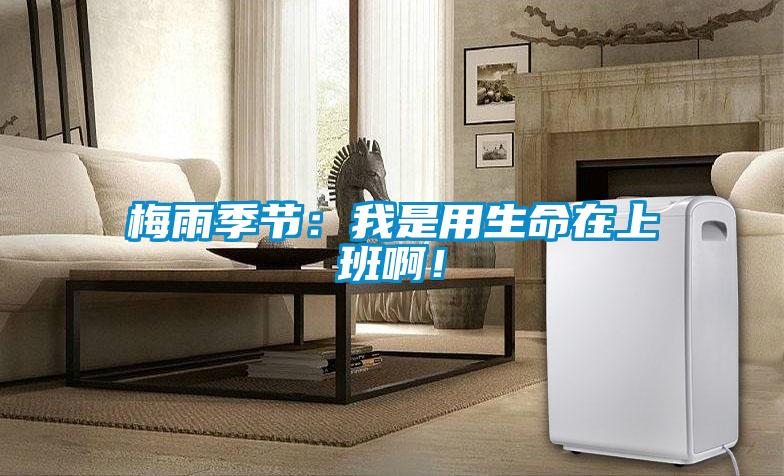 梅雨季节：我是用生命在上班啊！