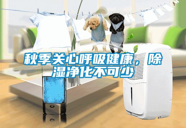 秋季关心呼吸健康，除湿净化不可少
