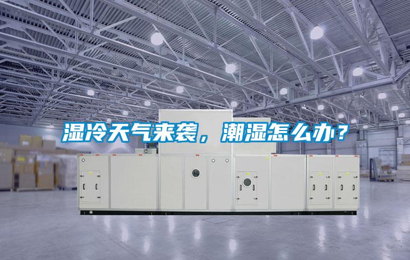 湿冷天气来袭，潮湿怎么办？